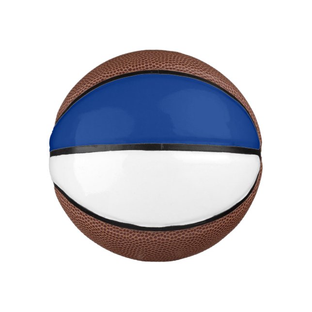 Blue and White Mini Basketball (Front)