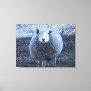 Blue and White Mother sheep. Canvas Print