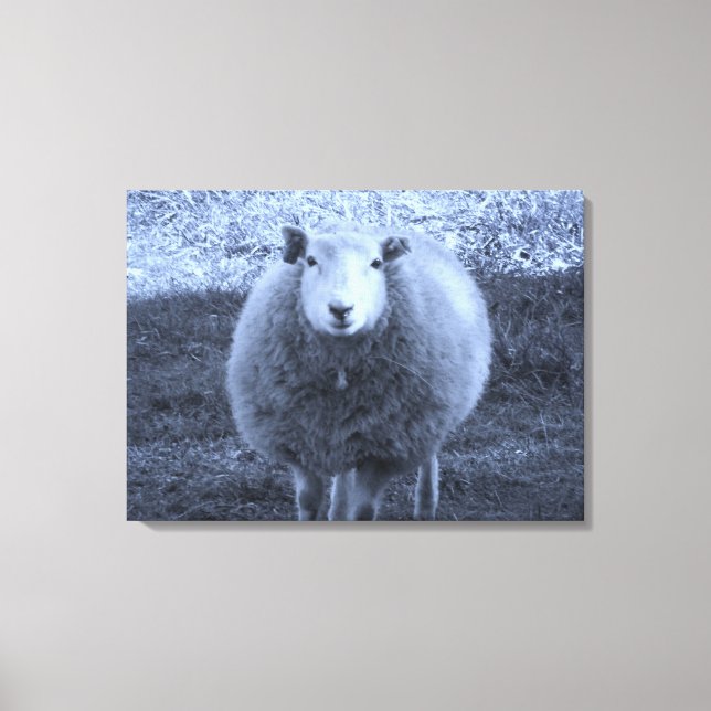 Blue and White  Mother sheep. Canvas Print (Front)