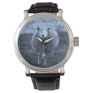 Blue and White  Mother sheep. Watch
