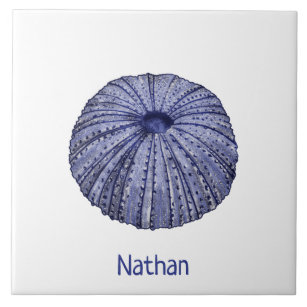 Blue and white sea urchin with name ceramic tile
