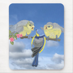 Blue and Yellow Bluetit Birds Mouse Pad