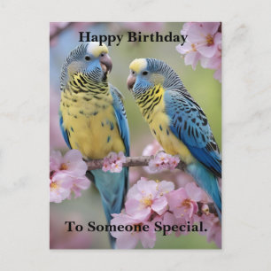 Blue And Yellow Budgies In Pink Blossom Tree, Postcard