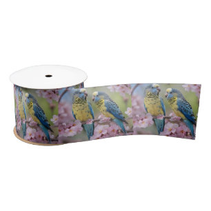 Blue And Yellow Budgies In Pink Blossom Tree, Satin Ribbon