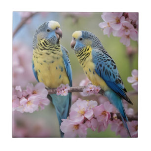 Blue And Yellow Budgies In Pink Blossom Tree, Tile