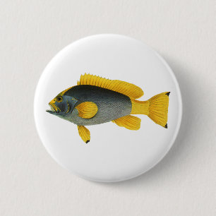 Blue and Yellow Grouper Fish, Vintage Marine Life 6 Cm Round Badge