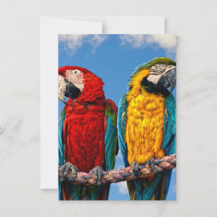 Blue and yellow macaw and a Scarlet macaw Invitation