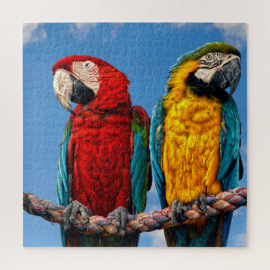 Blue and yellow macaw and a Scarlet macaw Jigsaw Puzzle