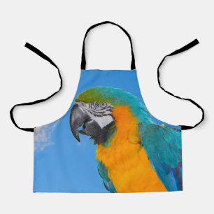Blue and yellow macaw  apron