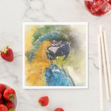 Blue-and-yellow Macaw (Ara ararauna)