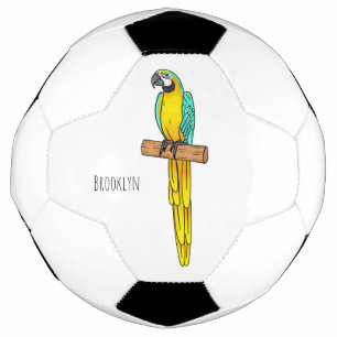 Blue-and-yellow macaw bird cartoon illustration soccer ball