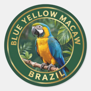 🦜 Blue-and-Yellow Macaw Brazil Tropical Bird Classic Round Sticker