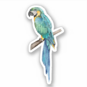 Blue and Yellow Macaw Custom-Cut Vinyl Sticker 
