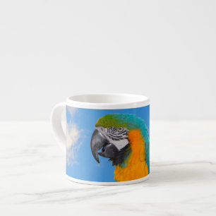 Blue and yellow macaw espresso cup