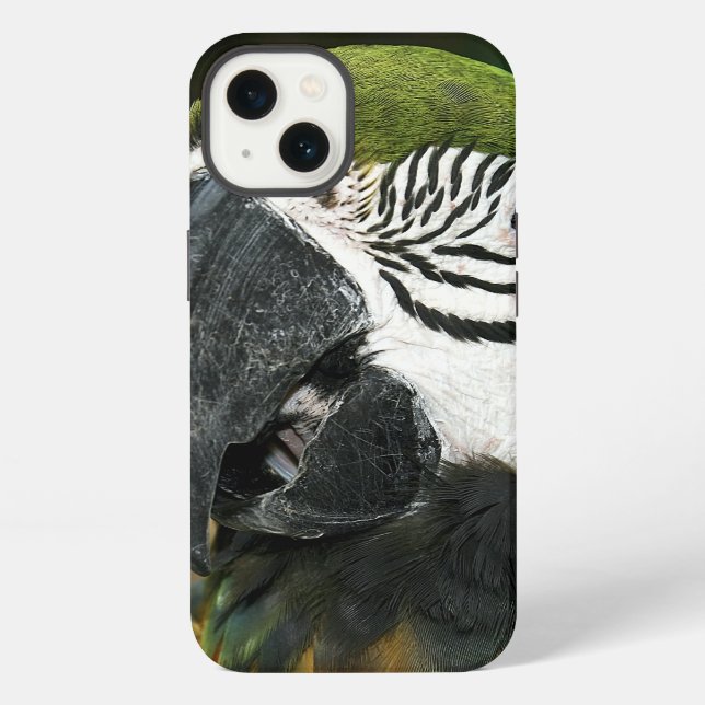 Blue and Yellow Macaw from Amazon iPhone Case (Back)