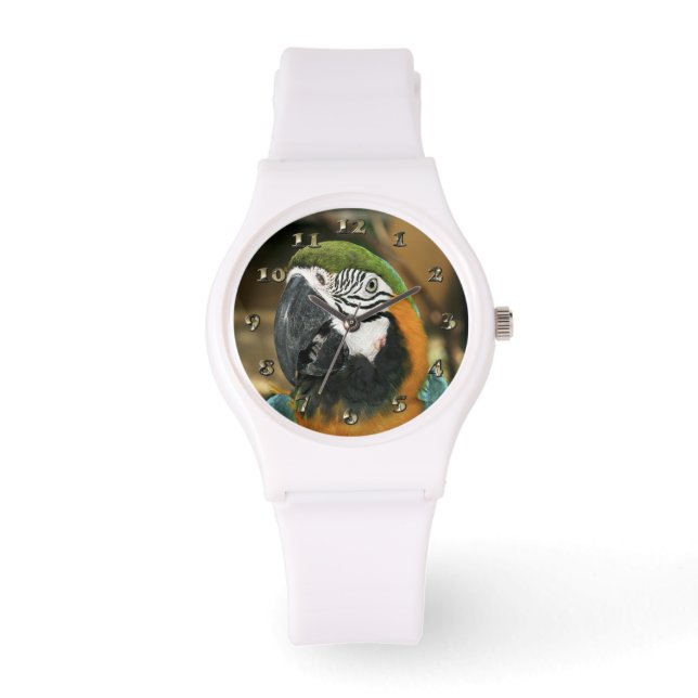 Blue and Yellow Macaw from Amazon Watch (Front)