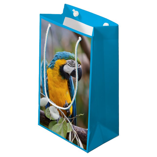 Blue and Yellow Macaw Gift Bag (Front Angled)