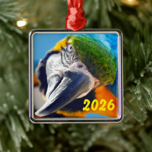Blue and Yellow Macaw Head Cocked to Side Metal Tree Decoration