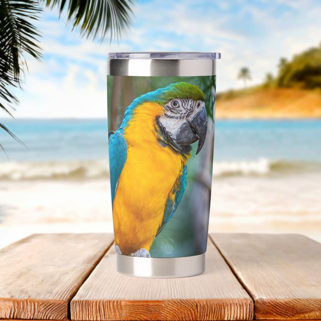 Blue-and-Yellow Macaw Insulated Tumbler (Beach)