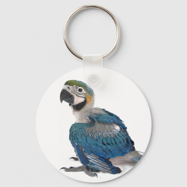 Blue and yellow Macaw Key Ring (Front)