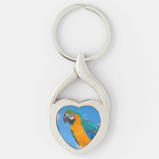 Blue and yellow macaw  key ring (Front)