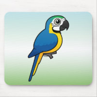 Blue-and-yellow Macaw