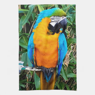 Blue and Yellow Macaw Parrot Tea Towel