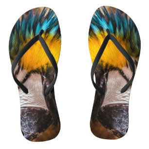 Blue and yellow macaw portrait jandals