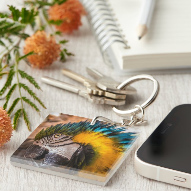 Blue and yellow macaw portrait key ring (Front Right)