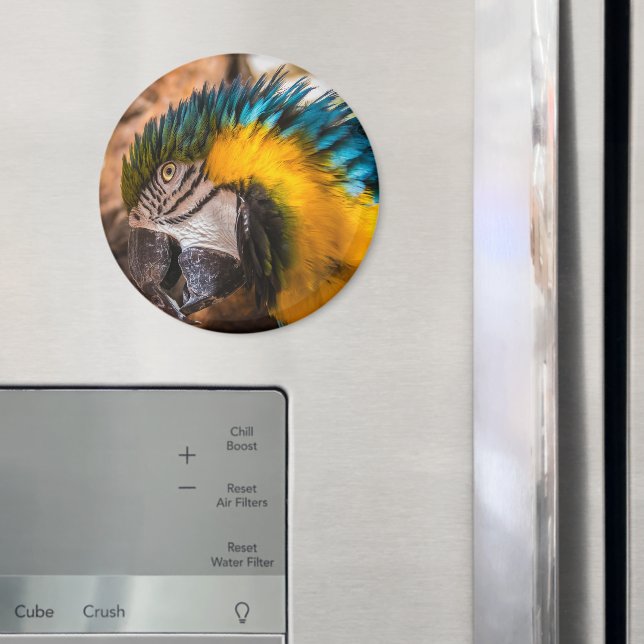 Blue and yellow macaw portrait magnet (In Situ (Fridge))