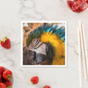 Blue and yellow macaw portrait napkin
