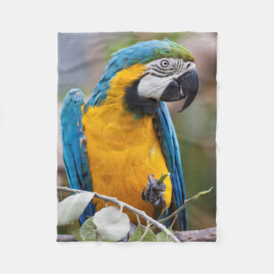 Blue and Yellow Macaw Sherpa Blanket