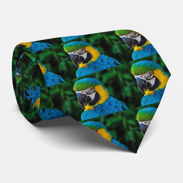 Blue-and-yellow Macaw Tie (Rolled)