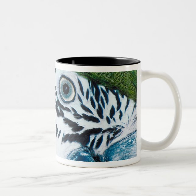 Blue-and-yellow MacawÊ Two-Tone Coffee Mug (Right)