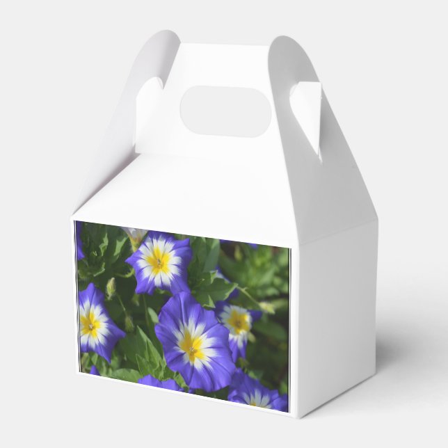 Blue and Yellow Morning Glories Favour Box (Front Side)