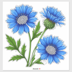 Blue Anemone Flowers with Green Stems