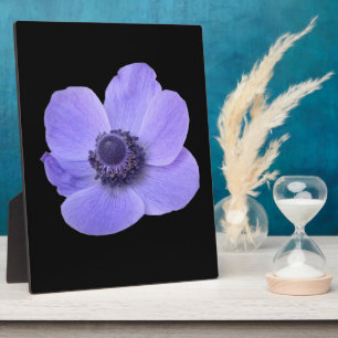 Blue Anemone Plaque