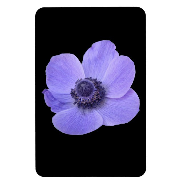 Blue Anemone Premium Magnet (Vertical)