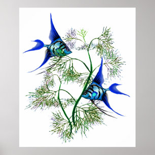 Blue Angelfish in Plants Poster