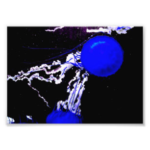 "Blue Angels" Photo Print