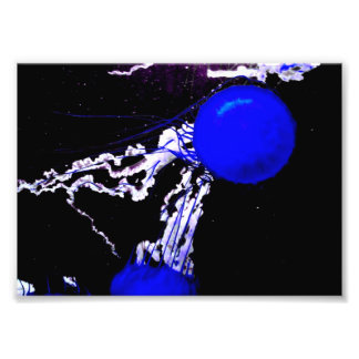 "Blue Angels" Photo Print