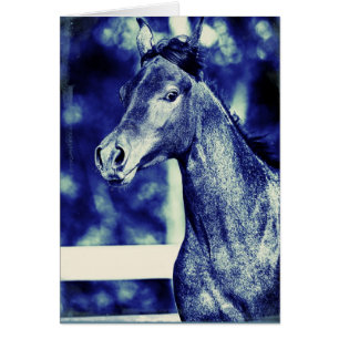 Blue Arabian Digital Art