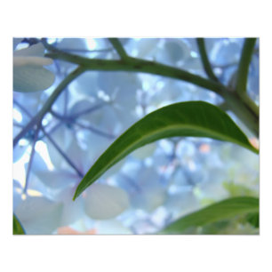 Blue art prints nature Hydrangea Floral artwork