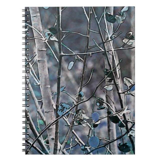 Blue Aspen Spiral Notebook (Front)