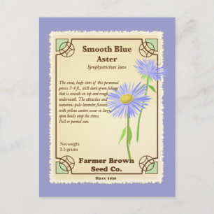 Blue Aster Seed Packet Postcard