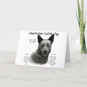 Blue Australian Cattle Dog History; Blue ACD Holiday Card