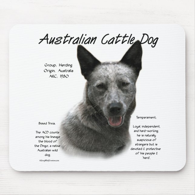 Blue Australian Cattle Dog History; Blue ACD Mouse Pad (Front)