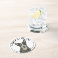 Blue Australian Cattledog Heeler Wedding
