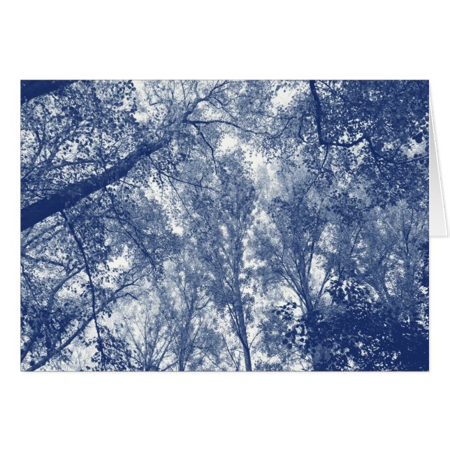 Blue Autumn - Cyanotype Effect (Front Horizontal)