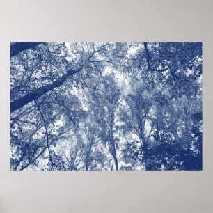 Blue Autumn - Cyanotype Effect Poster